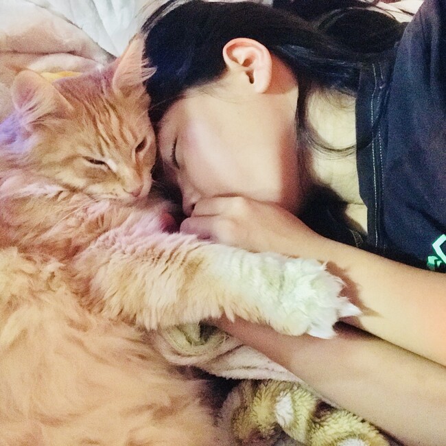 プロスパーのカバー写真