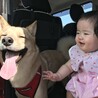 娘が6ヶ月の時！そばで笑ってくれる優しい子です♪愛おしや〜(●´ω｀●)