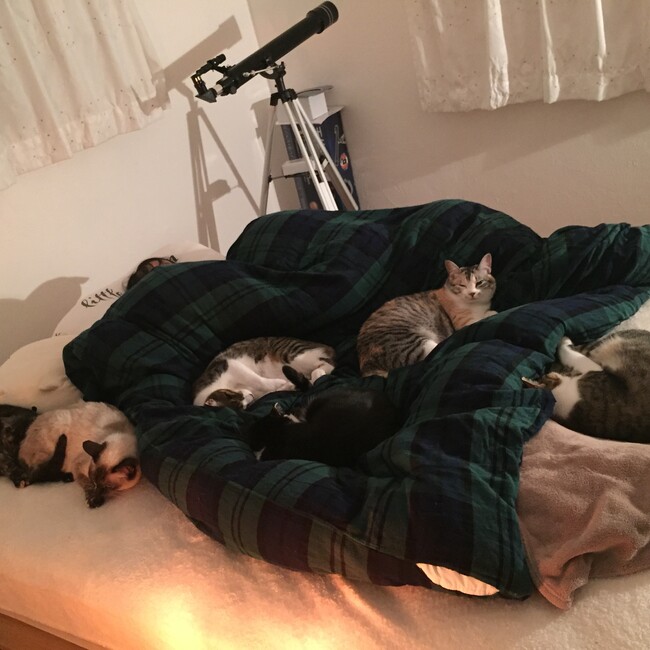 かがわひとみのカバー写真