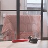 日向ぼっこ。今日も良き天気なりー