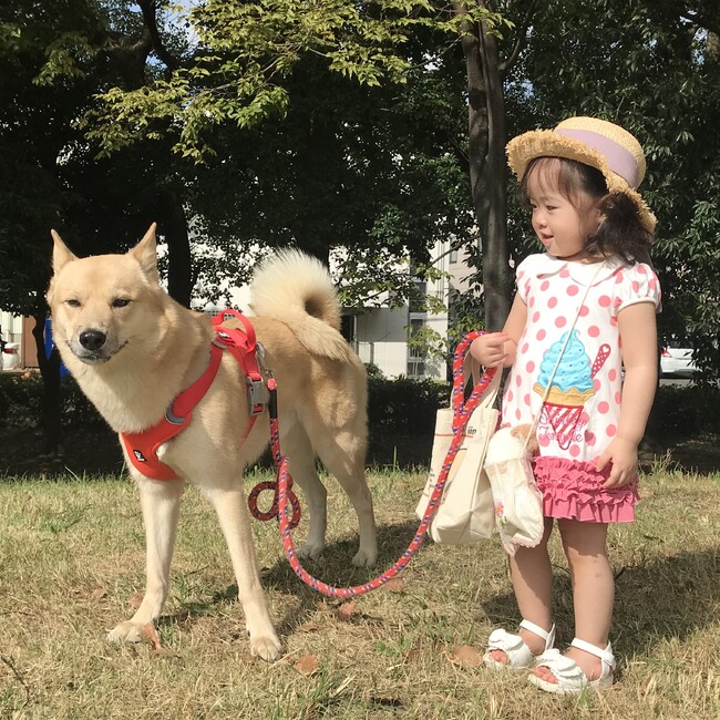 ☆チコ☆のカバー写真