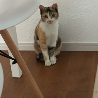 可愛い甘えん坊