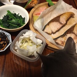 おうちで楽しく (=^ェ^=)