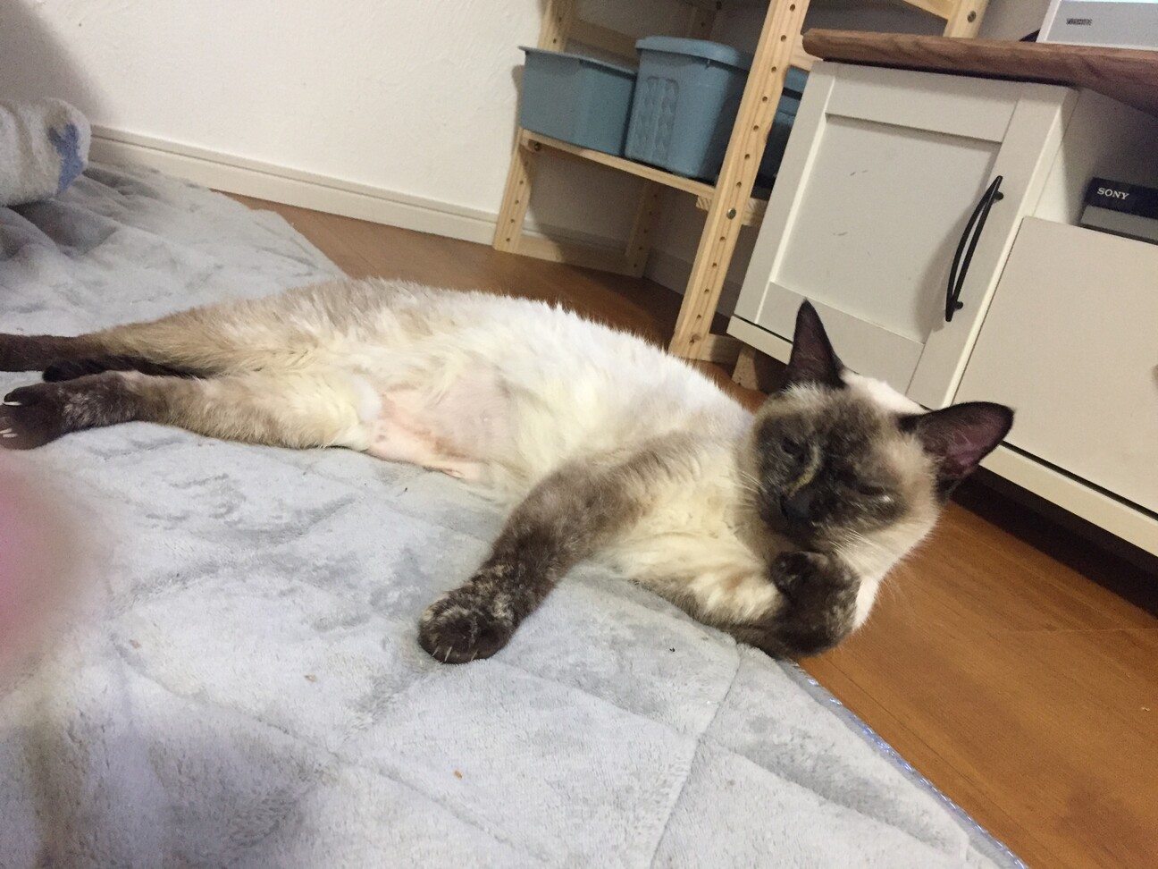 しずく