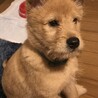 まだトライアルの頃^ ^