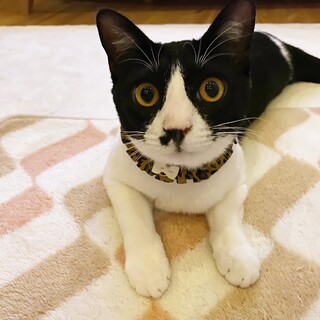 おっとり癒しの女の子♡