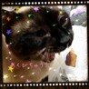 アクビ(๑˭̴̵̶́ꄱ˭̴̵̶̀ )