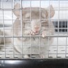 ご応募多数の為、一旦停止致します(^^) サムネイル2