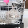 ご応募多数の為、一旦停止致します(^^) サムネイル4