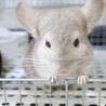 ご応募多数の為、一旦停止致します(^^) サムネイル5