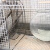 ご応募多数の為、一旦停止致します(^^) サムネイル7