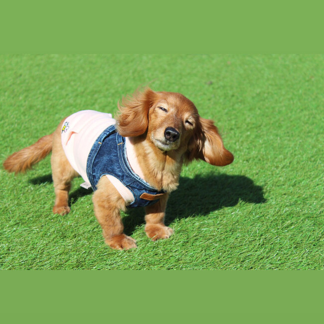 teagのカバー写真