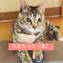 2匹とも決まりました。ありがとうございました