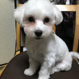 決まりました。ご応募有難うございました。