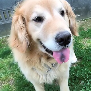 幸せになりました！【リック】今度こそ幸せに