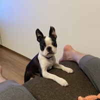 イギー