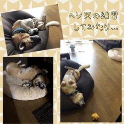 「STAY HOMEだから・・」サムネイル2