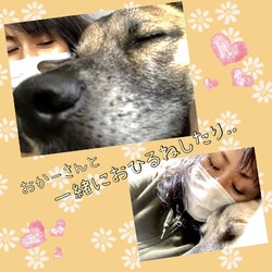 「STAY HOMEだから・・」サムネイル3