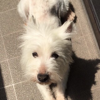 フレンドリーで甘えん坊なリボンちゃん★