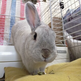 山に遺棄されていた子、幸せになって。