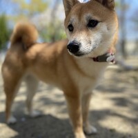 小野てんちゃん