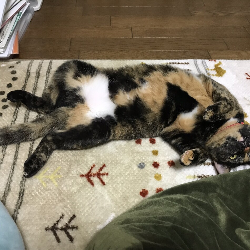 ベーターのカバー写真