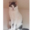 ぶちぶちくん　優しい甘えん坊さん サムネイル5