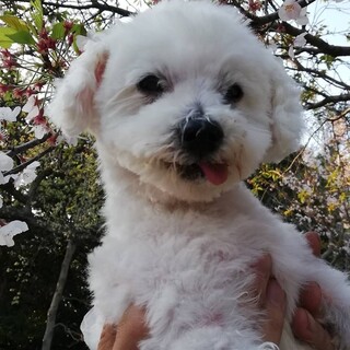 まだまだ元気いっぱいの碧(あおい)くん！