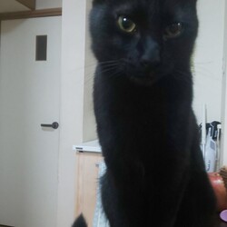 気がつけば過ぎてた