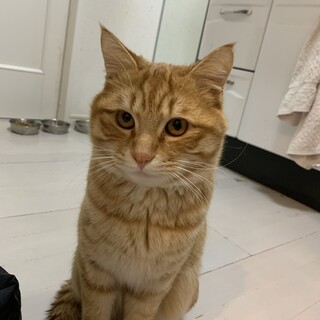 【一時中止】甘えん坊の男の子