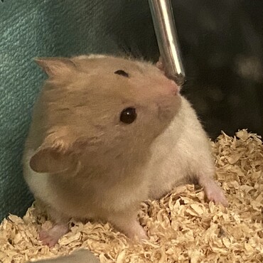 クセのある水の飲み方するね…