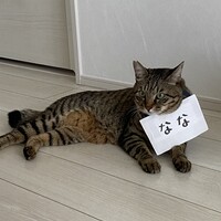なな