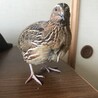 Masato3608