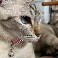 にや