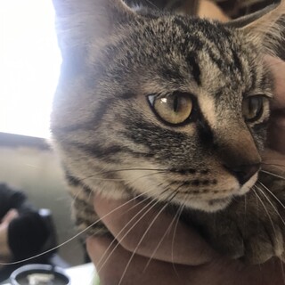 抱っこをおねだりするかわいいチビちゃん