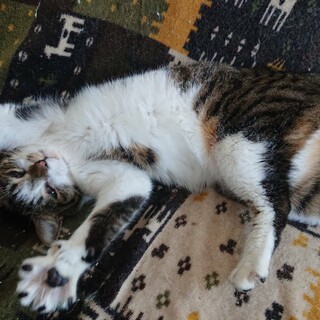 くねくねミモザとお幸せに♡