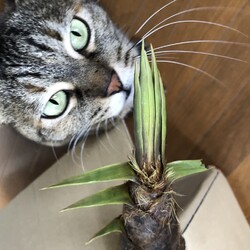 体重測定　春だから？