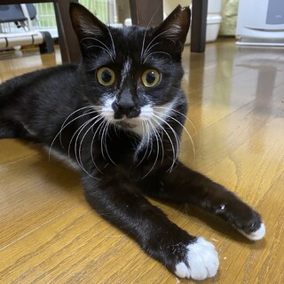 とっても人懐っこい女の子です！