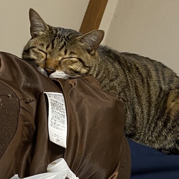 そぼろの写真