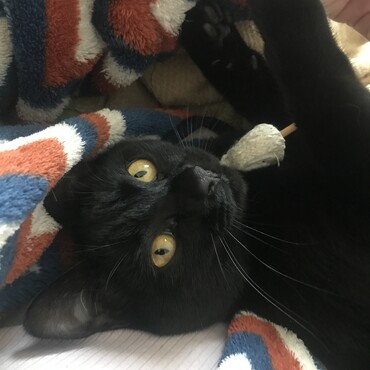 の写真