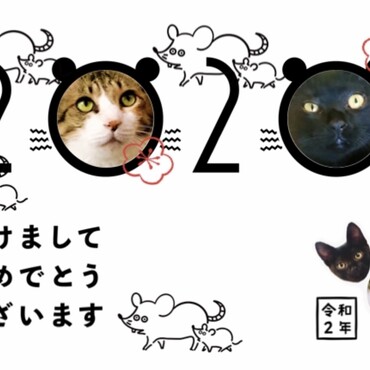 の写真