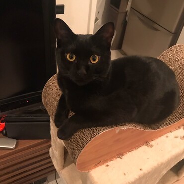 1歳になりました
