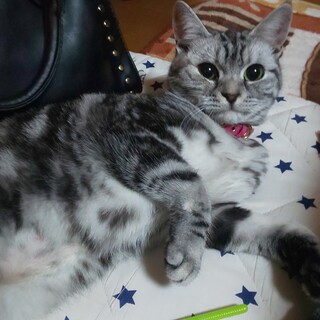 一旦募集終了させて頂きます