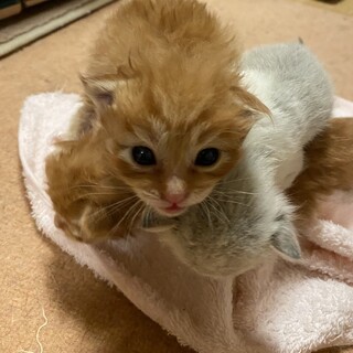 優しい家族に恵まれました〜