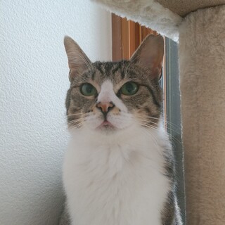 穏やかでやさしい春香ちゃん