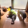 生後4ヶ月ウリボーみたいなミニブタさん サムネイル5
