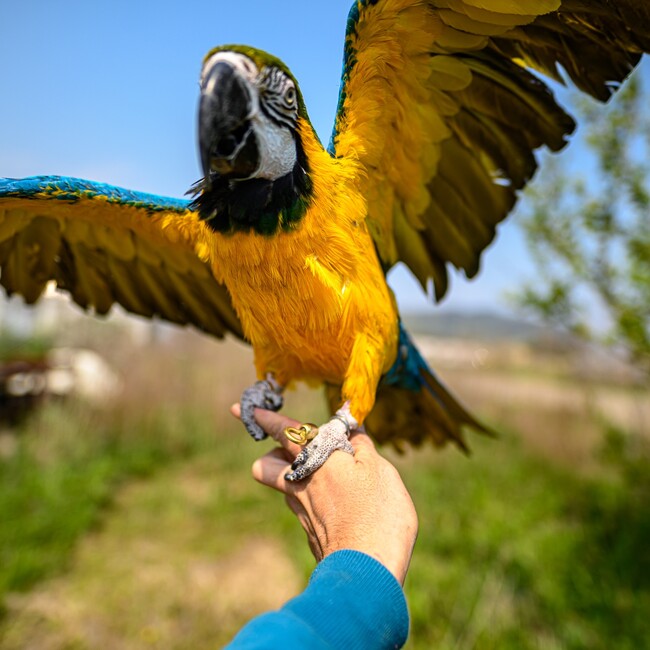 ヨシ　タクのカバー写真