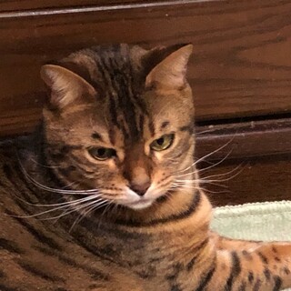 ソフィーです。暖かく見守って！