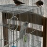ねぇ〜何してるの？