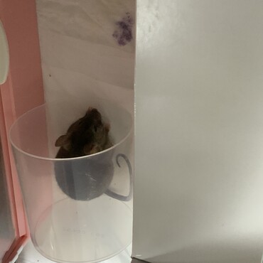 此処なんか落ち着く！！